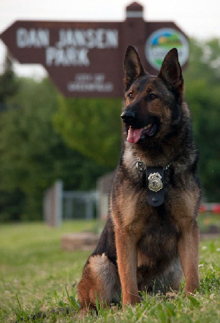 Greenfield K-9 Unit “Officer” DJ